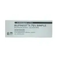 Bupinest 0.75 % simple x 24 ampollas de 10 ml (bupivacaína levógira)